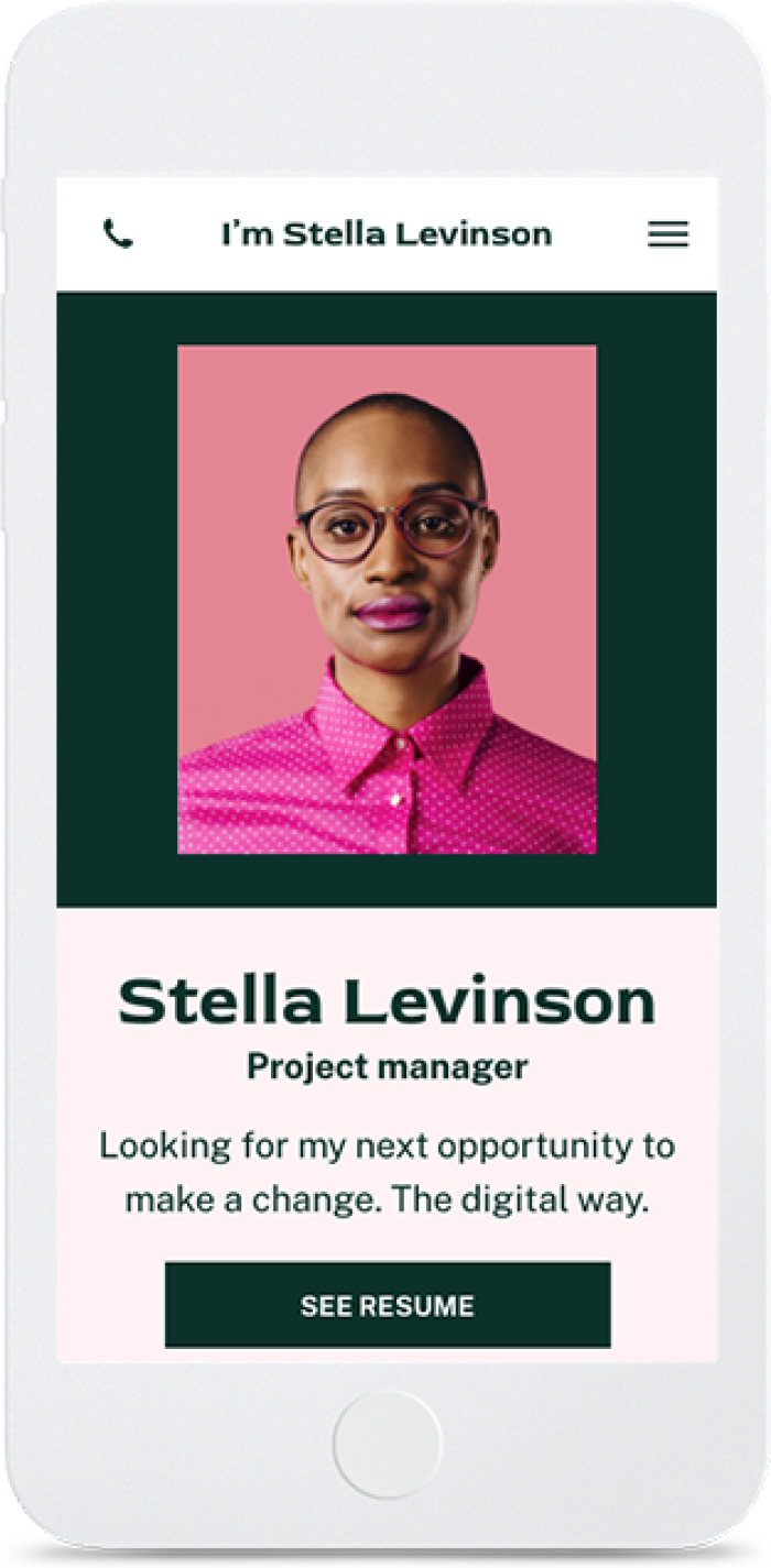 Professional CV — mobile view