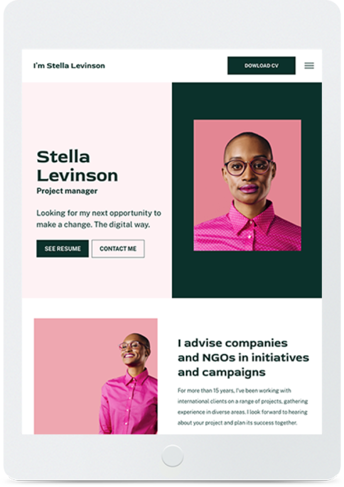 Professional CV — tablet view