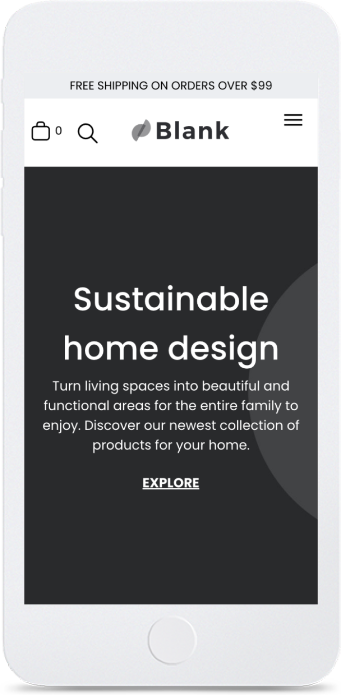 Native Store Wireframe — mobile view